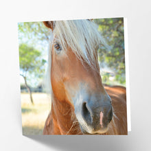 Load image into Gallery viewer, Palomino Horse Card
