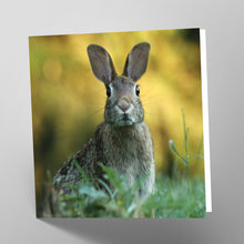 Load image into Gallery viewer, Hare Card
