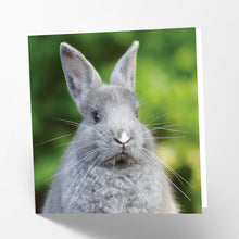 Load image into Gallery viewer, Rabbit Card