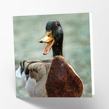 Load image into Gallery viewer, Ducks Card