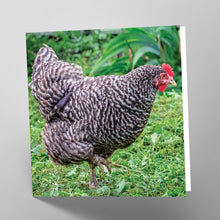 Load image into Gallery viewer, Plymouth Rock Hen Card