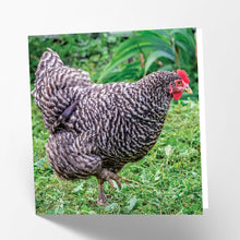 Load image into Gallery viewer, Plymouth Rock Hen Card