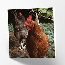 Load image into Gallery viewer, Hen Card