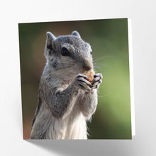 Load image into Gallery viewer, Squirrel Card