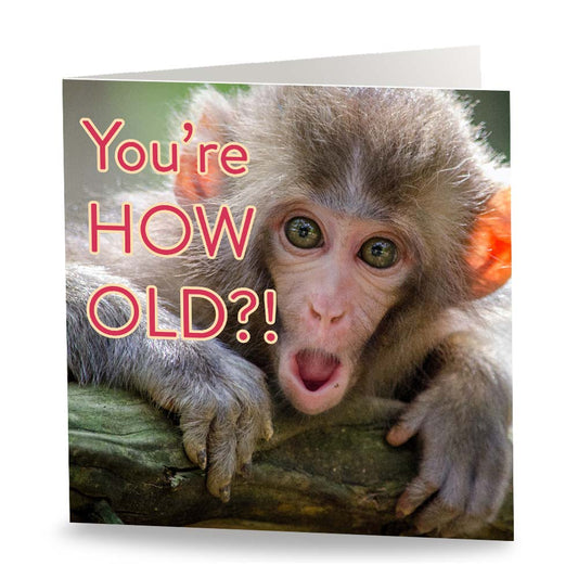 How Old Monkey Card
