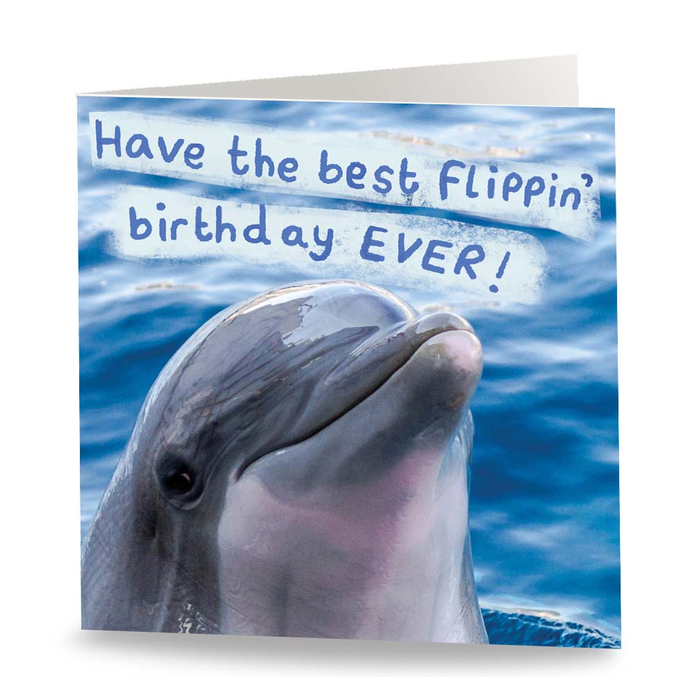 Flippin' Birthday Dolphin Card