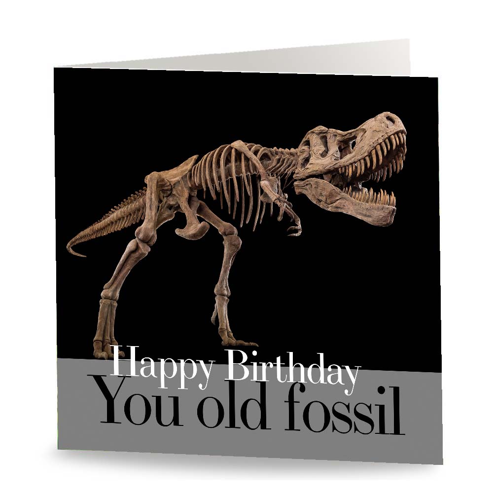 You Old Fossil Card