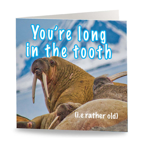 Long in the Tooth Card